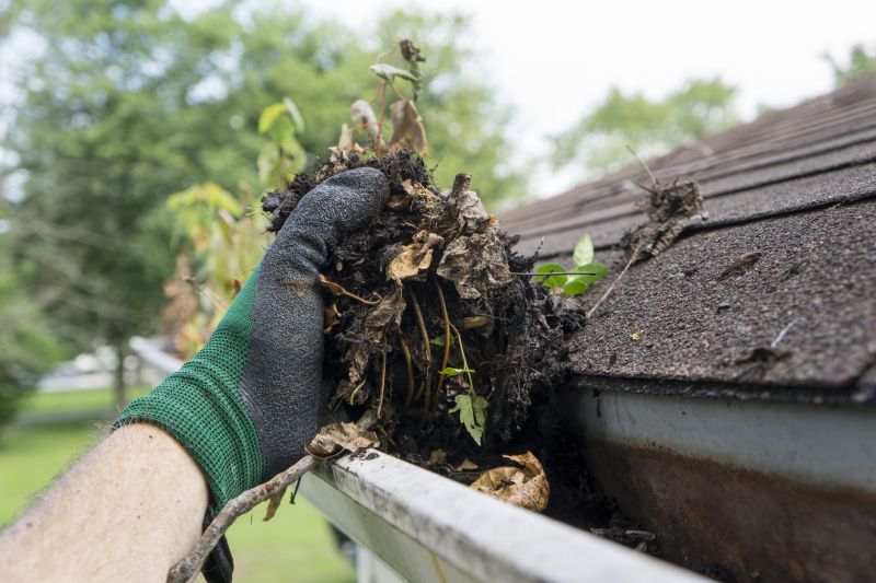 Clean Gutter After Storms
