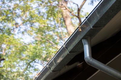 Gutter Cleaning and Maintenance