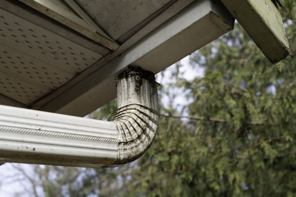 Cost of Roof Drain Replacement in Cabot